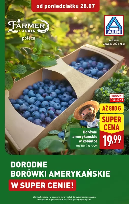 Aldi - gazetka promocyjna Borówki amerykańskie w super cenie! od poniedziałku 28.07 do soboty 02.08