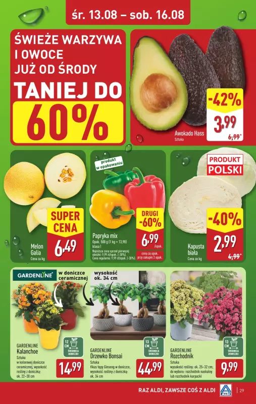 Aldi - gazetka promocyjna Pełny katalog! od poniedziałku 11.08 do soboty 16.08 - strona 29