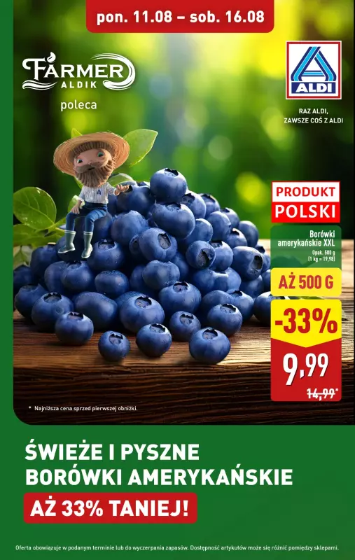 Aldi - gazetka promocyjna Borówki amerykańskie aż 33% taniej!  