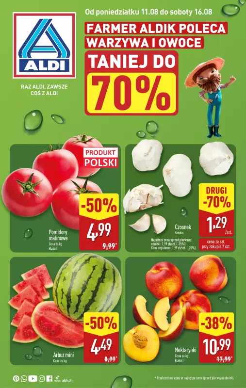 Aldi - gazetka promocyjna Farmer Aldik poleca!  