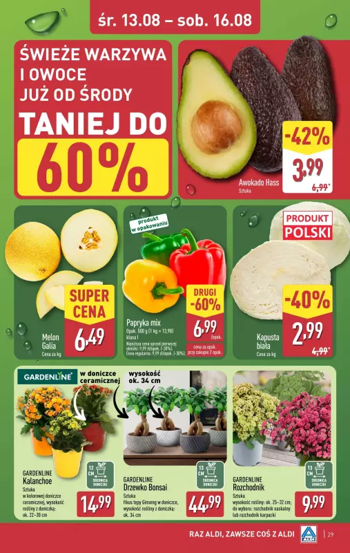 Aldi - gazetka promocyjna Pełny katalog! od poniedziałku 11.08 do soboty 16.08 - strona 29