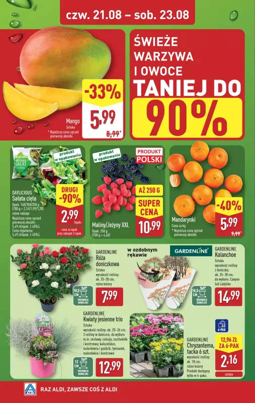 Aldi - gazetka promocyjna Farmer Aldik poleca! od poniedziałku 18.08 do soboty 23.08 - strona 4