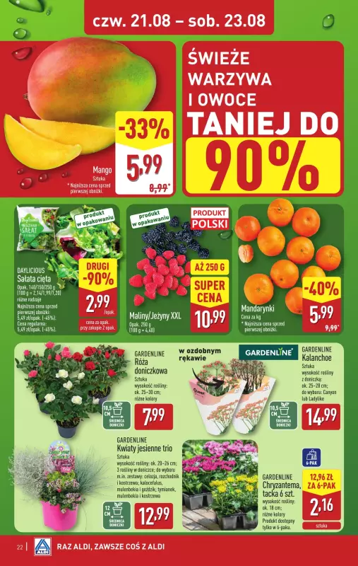 Aldi - gazetka promocyjna Pełny katalog! od poniedziałku 18.08 do soboty 23.08 - strona 22