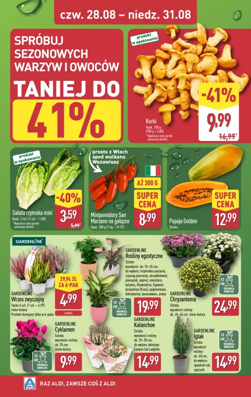 Aldi - gazetka promocyjna Farmer Aldik poleca! od poniedziałku 25.08 do niedzieli 31.08 - strona 6