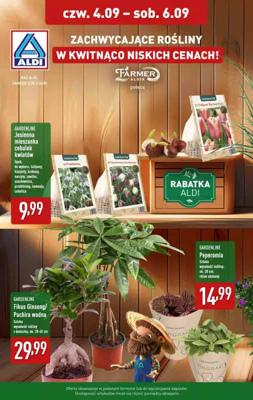 Aldi - gazetka promocyjna Rośliny w niskich cenach! od czwartku 04.09 do soboty 06.09
