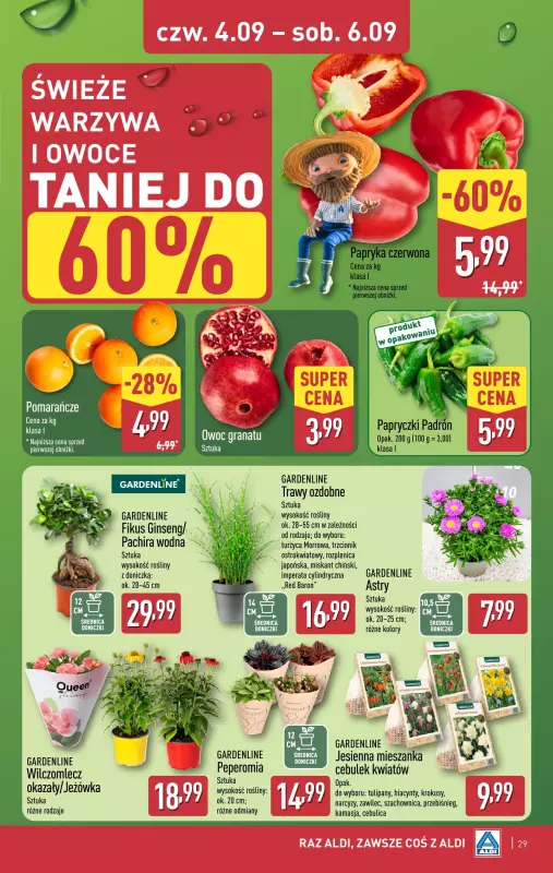 Aldi - gazetka promocyjna Pełny katalog! od poniedziałku 01.09 do soboty 06.09 - strona 29