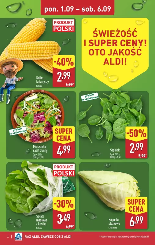 Aldi - gazetka promocyjna Pełny katalog! od poniedziałku 01.09 do soboty 06.09 - strona 4