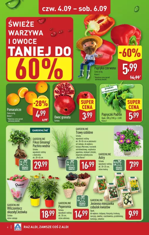 Aldi - gazetka promocyjna Weekend super cen w Aldi! od czwartku 04.09 do soboty 06.09 - strona 4