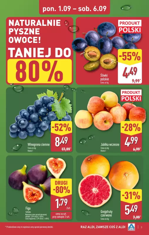 Aldi - gazetka promocyjna Pełny katalog! od poniedziałku 01.09 do soboty 06.09 - strona 3