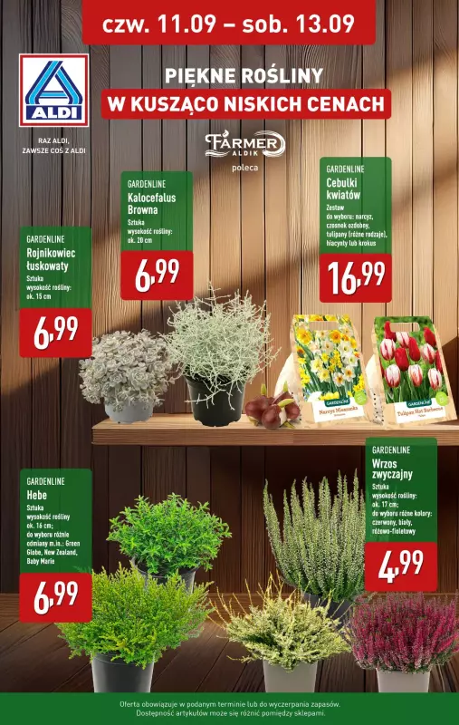 Aldi - gazetka promocyjna Rośliny w kusząco niskich cenach! od czwartku 11.09 do soboty 13.09