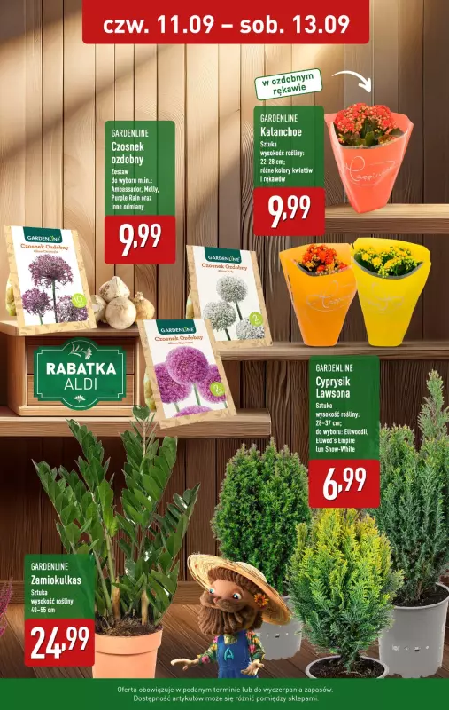 Aldi - gazetka promocyjna Rośliny w kusząco niskich cenach! od czwartku 11.09 do soboty 13.09 - strona 2