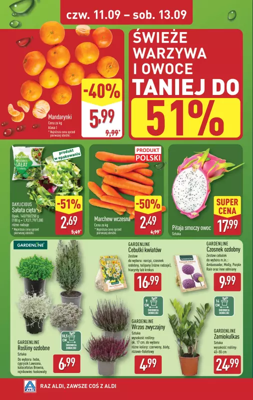 Aldi - gazetka promocyjna Farmer Aldik poleca! od poniedziałku 08.09 do soboty 13.09 - strona 6