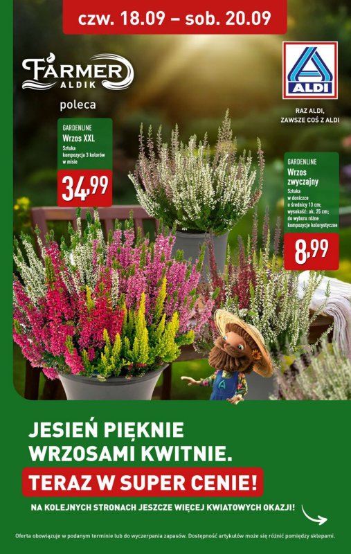 Aldi - gazetka promocyjna Pełny katalog! od poniedziałku 15.09 do soboty 20.09 - strona 33
