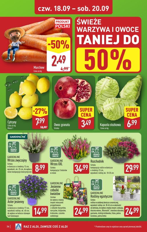 Aldi - gazetka promocyjna Pełny katalog! od poniedziałku 15.09 do soboty 20.09 - strona 36