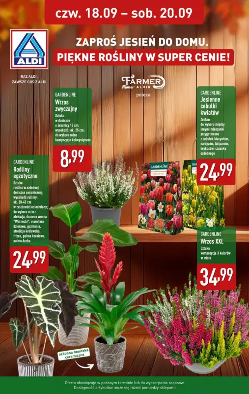 Aldi - gazetka promocyjna Pełny katalog! od poniedziałku 15.09 do soboty 20.09 - strona 34
