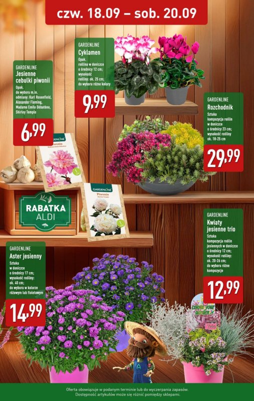 Aldi - gazetka promocyjna Weekend super cen w Aldi! od czwartku 18.09 do soboty 20.09 - strona 12