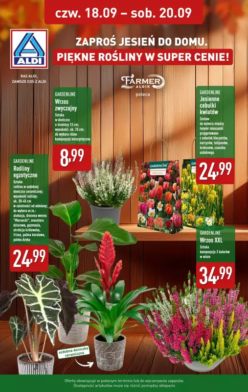 Aldi - gazetka promocyjna Kwiaty w super cenie!   - strona 2