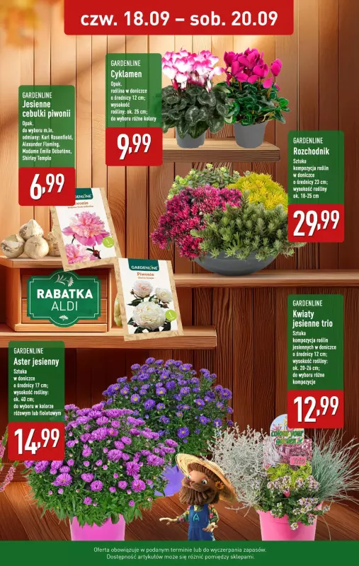 Aldi - gazetka promocyjna Kwiaty w super cenie!   - strona 3