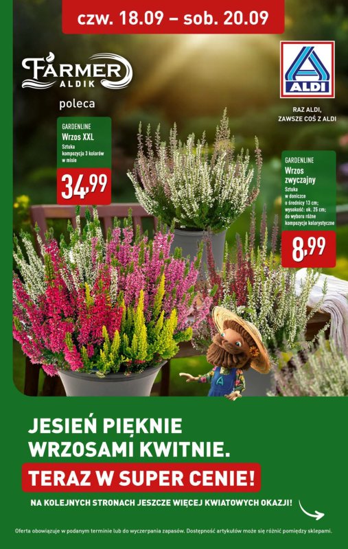 Aldi - gazetka promocyjna Farmer Aldik poleca! od poniedziałku 15.09 do soboty 20.09 - strona 7
