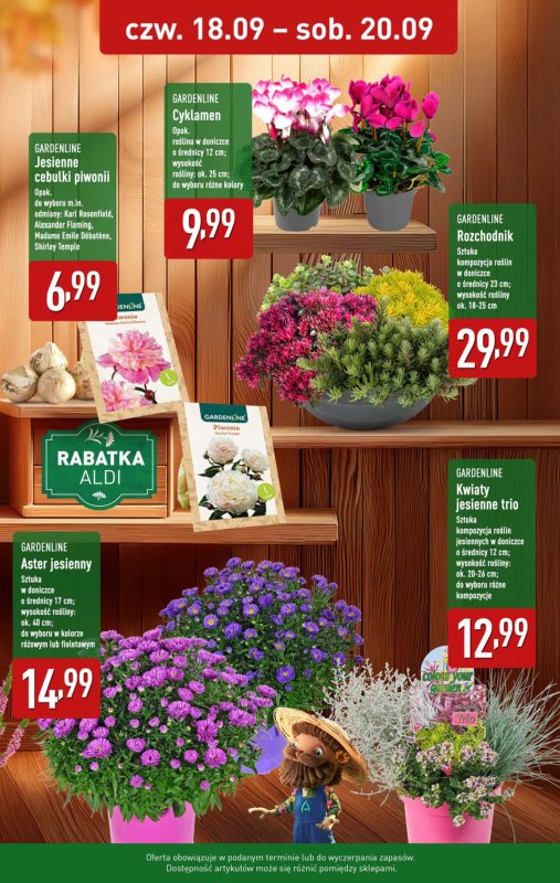 Aldi - gazetka promocyjna Farmer Aldik poleca! od poniedziałku 15.09 do soboty 20.09 - strona 9