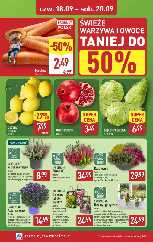 Aldi - gazetka promocyjna Farmer Aldik poleca! od poniedziałku 15.09 do soboty 20.09 - strona 6