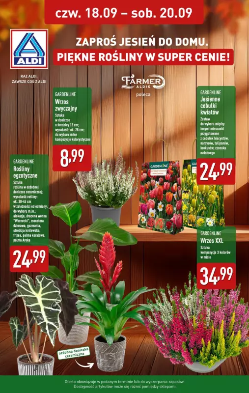 Aldi - gazetka promocyjna Farmer Aldik poleca! od poniedziałku 15.09 do soboty 20.09 - strona 8