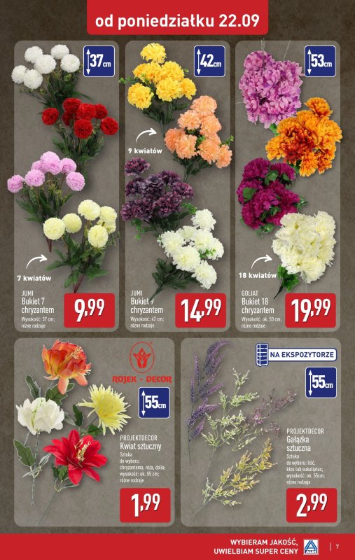 Aldi - gazetka promocyjna Aldi ma to coś! od poniedziałku 22.09 do soboty 27.09 - strona 7