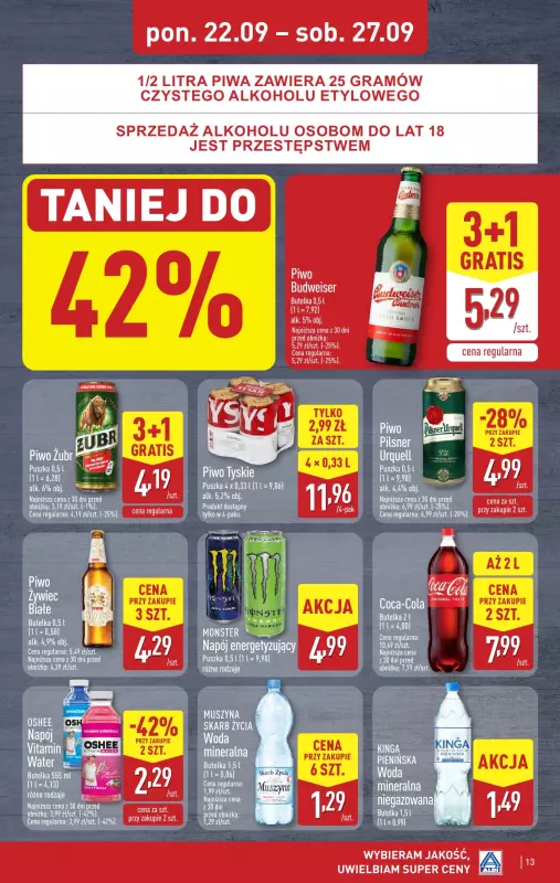 Aldi - gazetka promocyjna Pełny katalog! od poniedziałku 22.09 do soboty 27.09 - strona 13