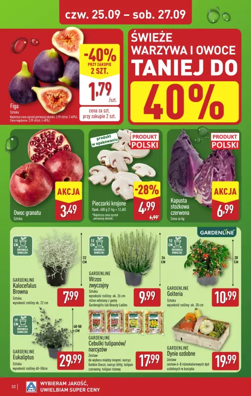 Aldi - gazetka promocyjna Pełny katalog! od poniedziałku 22.09 do soboty 27.09 - strona 32