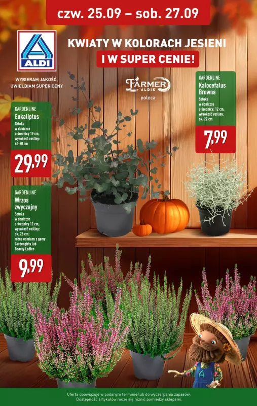 Aldi - gazetka promocyjna Kwiaty w super cenie! od czwartku 25.09 do soboty 27.09