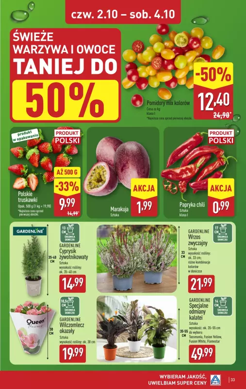 Aldi - gazetka promocyjna Pełny katalog! od niedzieli 28.09 do soboty 04.10 - strona 33