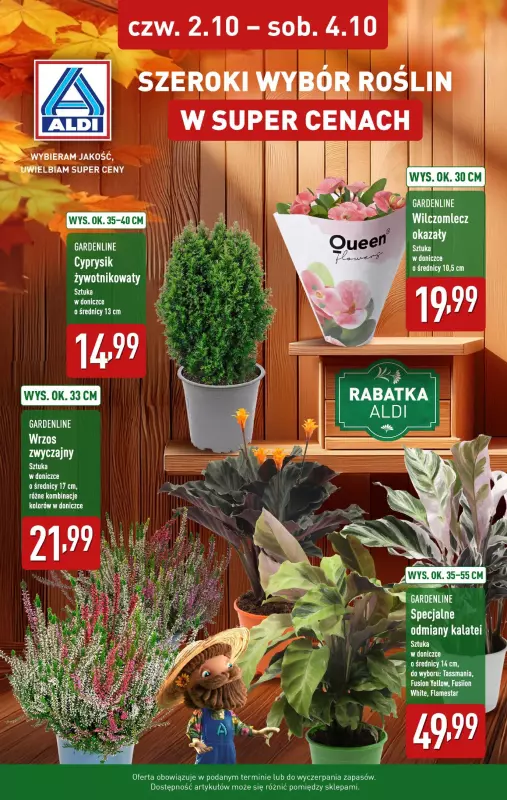 Aldi - gazetka promocyjna Rośliny  w super cenie! od czwartku 02.10 do soboty 04.10