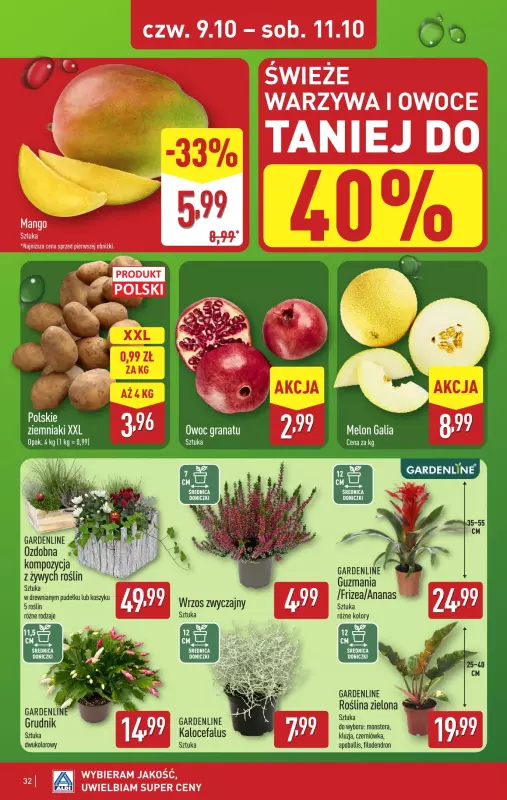 Aldi - gazetka promocyjna Pełny katalog! od poniedziałku 06.10 do soboty 11.10 - strona 32