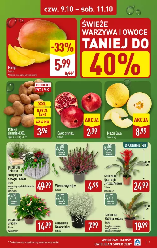 Aldi - gazetka promocyjna Świeże owoce, warzywa i kwiaty w super cenie! od poniedziałku 06.10 do soboty 11.10 - strona 7