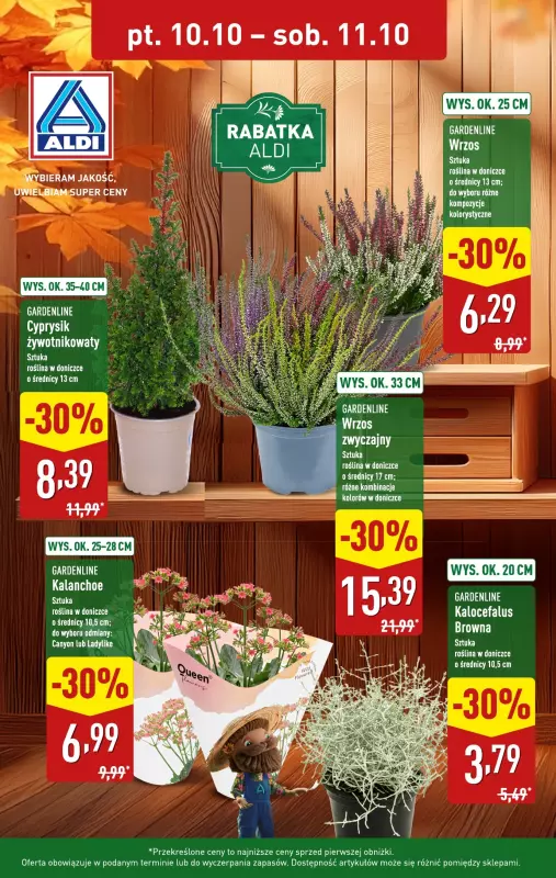 Aldi - gazetka promocyjna Wybrane rośliny doniczkowe 30% taniej! od piątku 10.10 do soboty 11.10