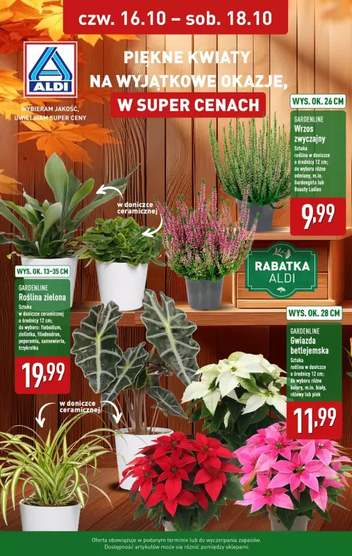Aldi - gazetka promocyjna Kwiaty na wyjątkowe okazje w super cenach!  