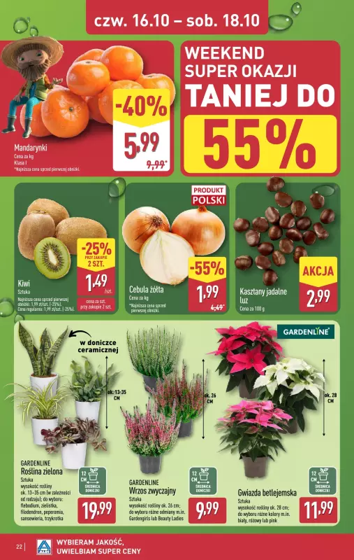 Aldi - gazetka promocyjna Pełny katalog! od poniedziałku 13.10 do soboty 18.10 - strona 22