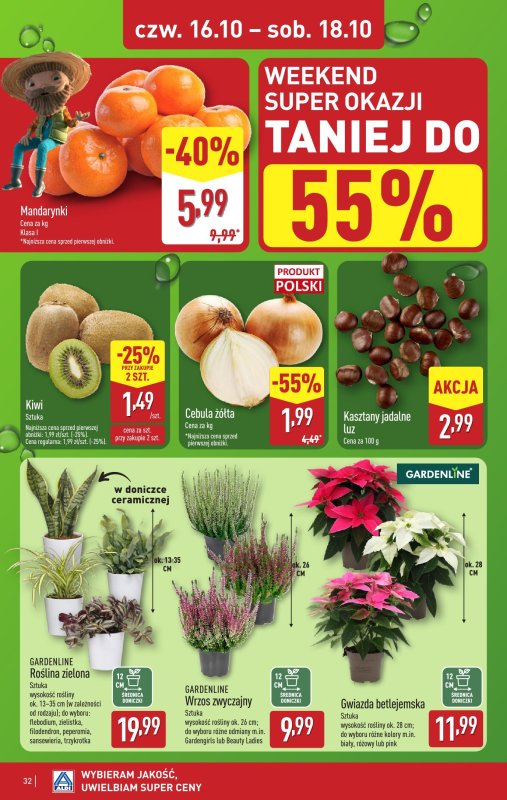 Aldi - gazetka promocyjna Pełny katalog! od poniedziałku 13.10 do soboty 18.10 - strona 32