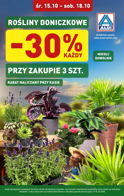 Aldi - gazetka promocyjna Rośliny doniczkowe 30% taniej!  