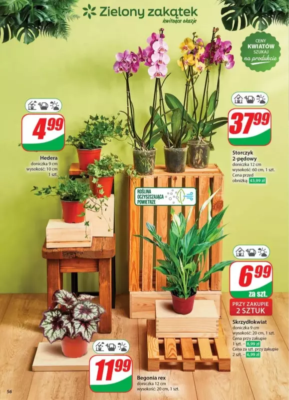 Dino - gazetka promocyjna Gazetka od środy 30.04 do wtorku 06.05 - strona 56