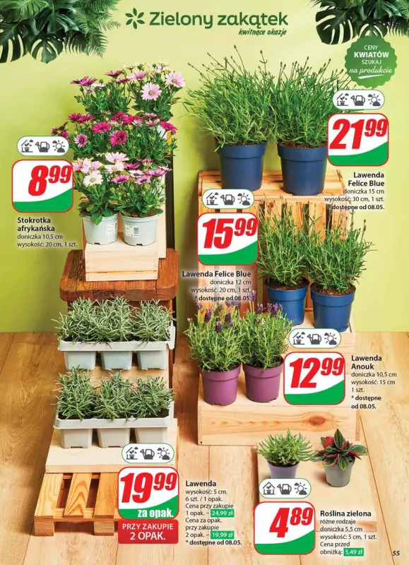Dino - gazetka promocyjna Gazetka od środy 07.05 do wtorku 13.05 - strona 55