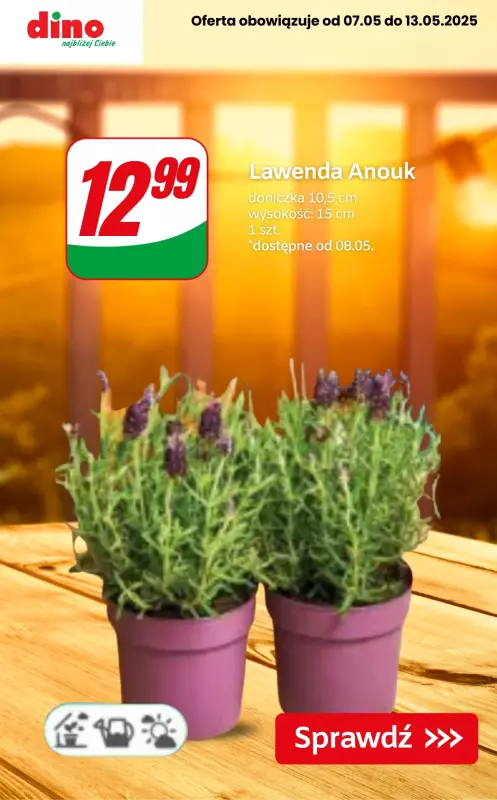 Dino - gazetka promocyjna Udekoruj swój balkon! od czwartku 08.05 do wtorku 13.05 - strona 8