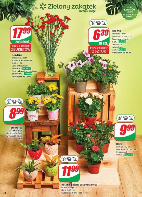 Dino - gazetka promocyjna Gazetka od środy 14.05 do wtorku 20.05 - strona 54