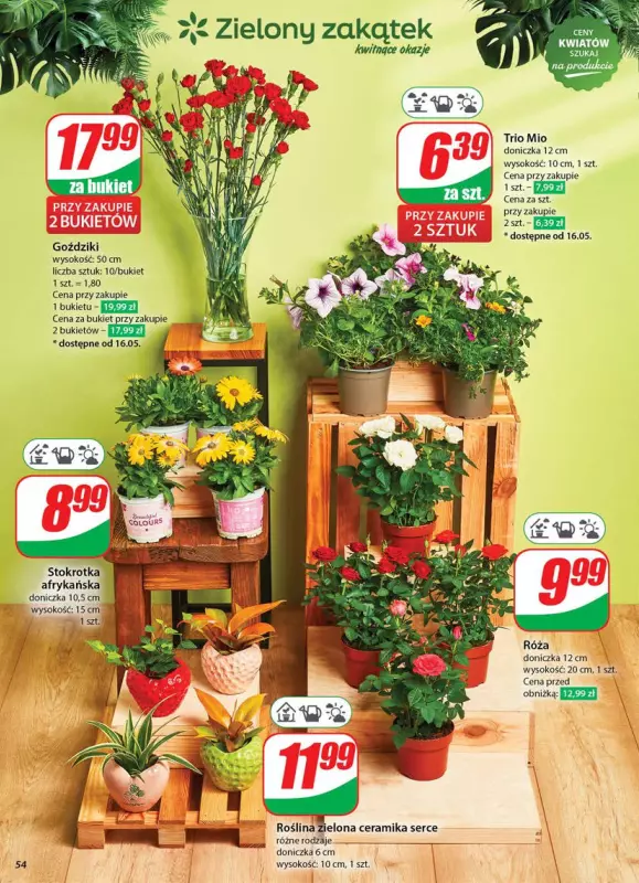 Dino - gazetka promocyjna Gazetka od środy 14.05 do wtorku 20.05 - strona 54