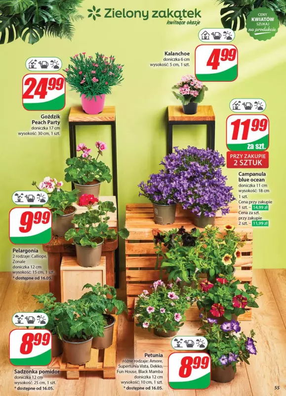 Dino - gazetka promocyjna Gazetka od środy 14.05 do wtorku 20.05 - strona 55