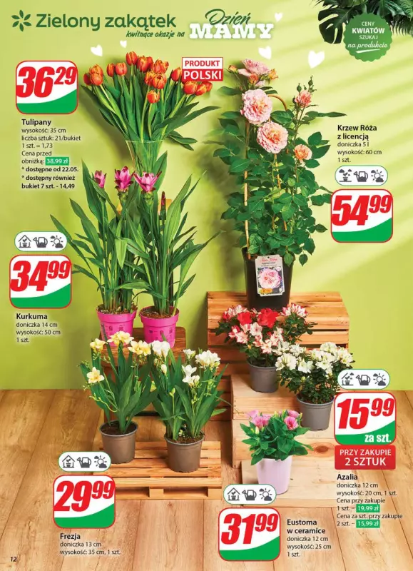 Dino - gazetka promocyjna Gazetka od środy 21.05 do wtorku 27.05 - strona 12