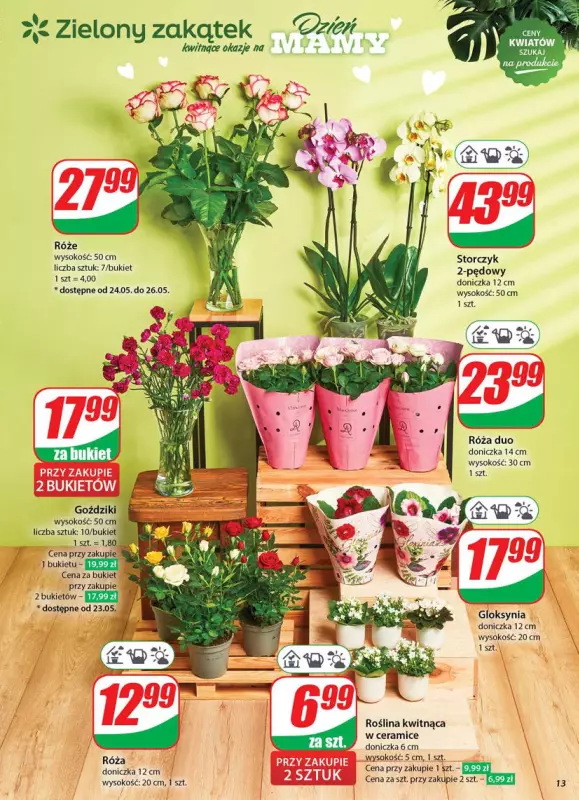 Dino - gazetka promocyjna Gazetka od środy 21.05 do wtorku 27.05 - strona 13