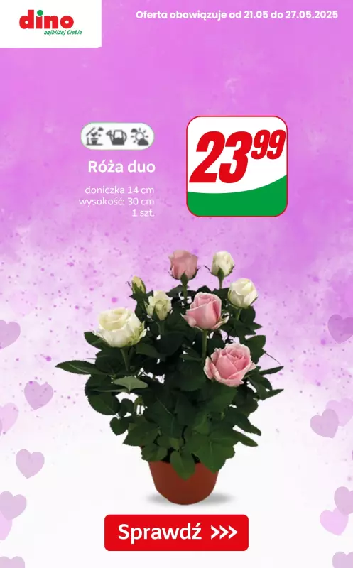 Dino - gazetka promocyjna Kwiaty, czekoladki i upominki na Dzień Mamy! od czwartku 22.05 do wtorku 27.05 - strona 5