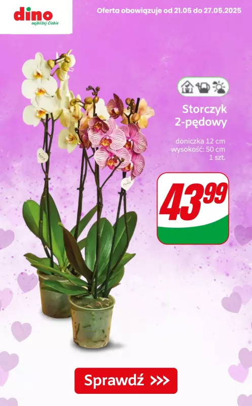 Dino - gazetka promocyjna Kwiaty, czekoladki i upominki na Dzień Mamy!   - strona 2