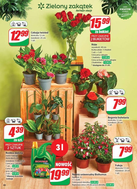 Dino - gazetka promocyjna Gazetka od środy 28.05 do wtorku 03.06 - strona 56